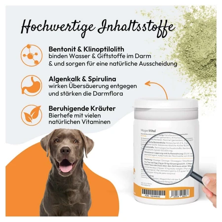PHA MagenVital Hond 200 g