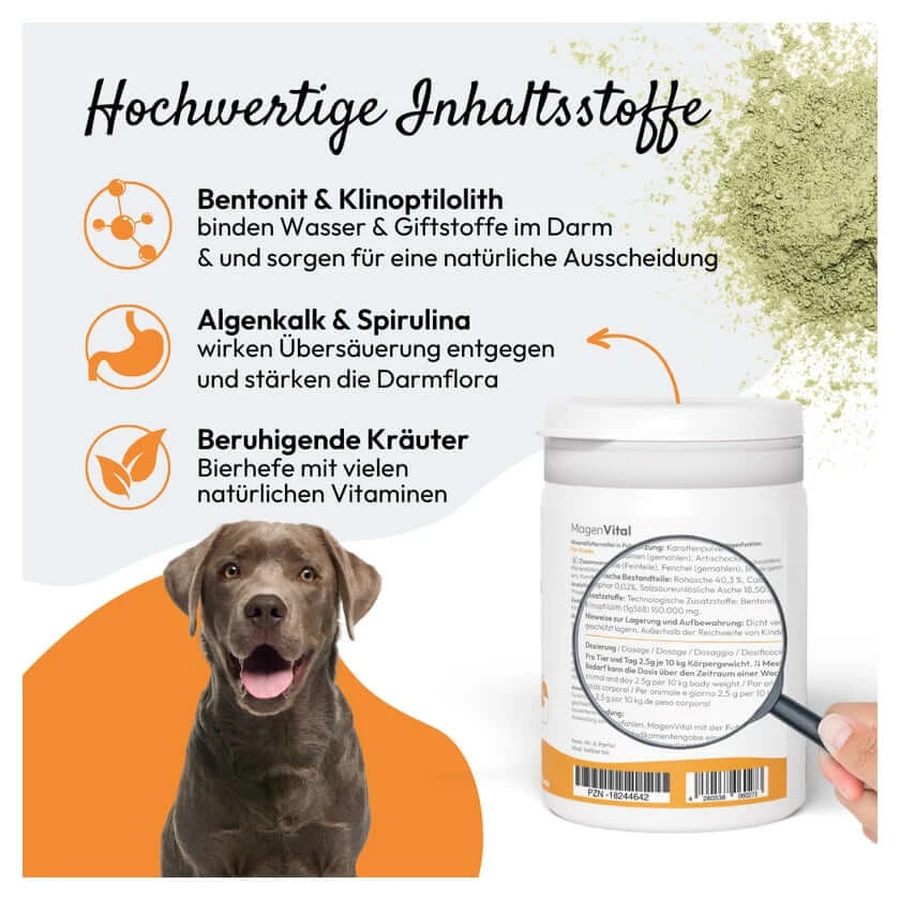 PHA MagenVital Hond 200 g