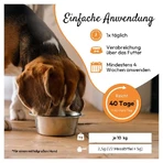 PHA MagenVital Hond 200 g