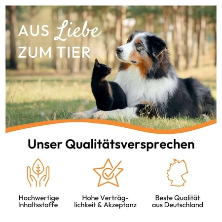 PHA MagenVital Hond 200 g
