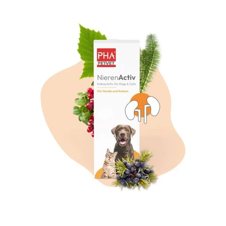 PHA Nierenactiv drops cats 30 ml