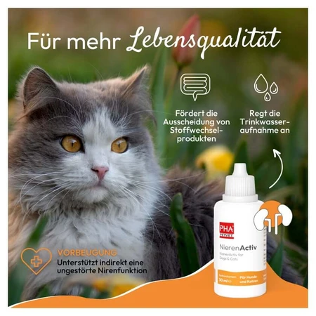 PHA Nierenactiv drops cats 30 ml