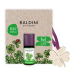Baldini Buena Suerte Mini Set de Fragancia con Colgante de Madera 1 ud.