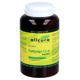 Cordyceps Cs-4 Extract Capsules 120 Capsules