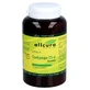 Cordyceps Cs-4 Extract Capsules 120 Capsules