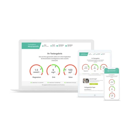 Cerascreen Mineral Analysis Test 1 pc