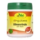 Corteccia di olmo singolare (europeo) 200 g