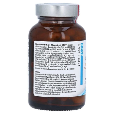 Arthro Basic Capsule 60 Capsule