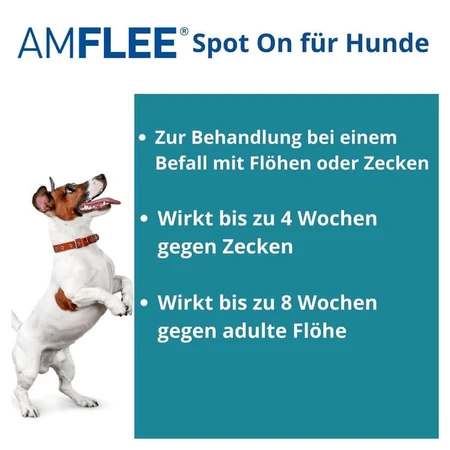 Amflee 67 mg spot-on solution pour petits chiens 2-10kg 3 pcs.