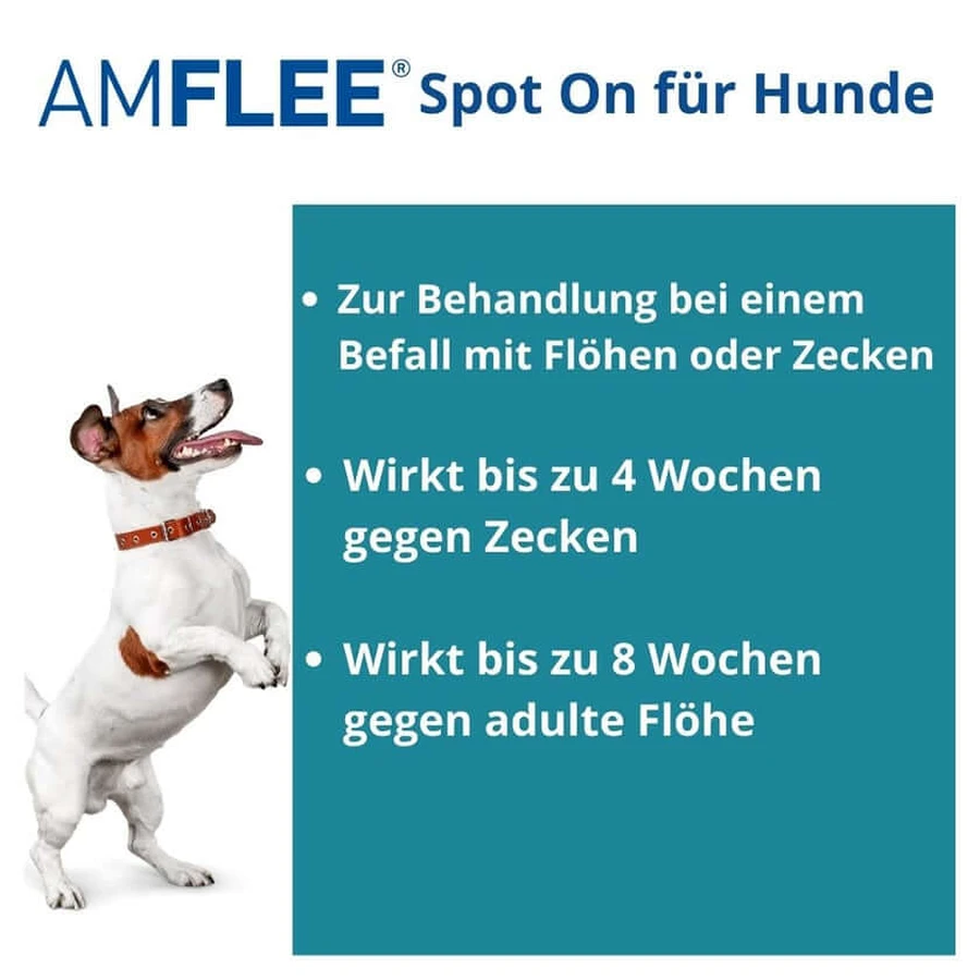 Amflee 67 mg spot-on solution pour petits chiens 2-10kg 3 pcs.