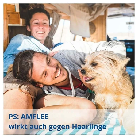 Amflee 67 mg spot-on solution pour petits chiens 2-10kg 3 pcs.