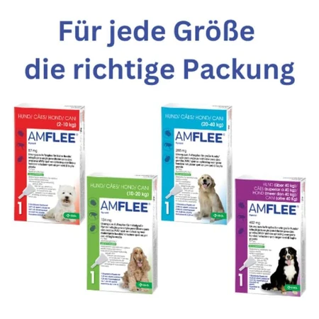 Amflee 67 mg spot-on solution pour petits chiens 2-10kg 3 pcs.