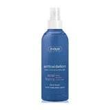 ZIAJA Acai Berry - Verstevigende lotion met hyaluronzuur 200 ml