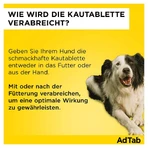 AdTab dog 5.5 - 11 kg chewable tablet 3 pcs.