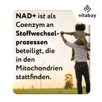 Vitabay NAD+ 1000 mg Trans-Resveratrol 600 mg liposomal - high dosage 90 pcs.