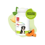 Dogenzyme Joint 100 St