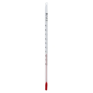 Thermomètre 10-100° C 20 cm de long 1 pc