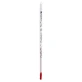 Thermomètre 10-100° C 20 cm de long 1 pc