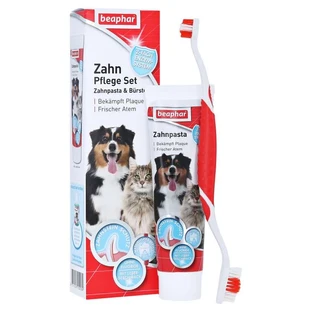 Beaphar tandverzorgingsset tandpasta & borstel 100 g