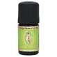 Raíz de angélica aceite esencial bio 5 ml
