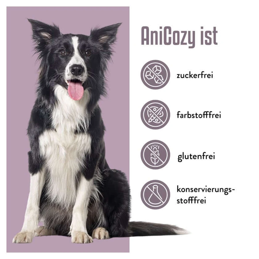 AniCozy 300 g