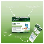 Hübner - Gastrointestinal Direct, porción sticks 30X15 ml
