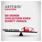 Arterin Cholesterol Tablets 30 St