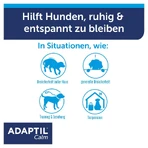 ADAPTIL Collar Calm para perros pequeños 1 ud.