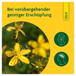 Schoenenberger Naturreiner Heilpflanzensaft St. Janskruid 200 ml