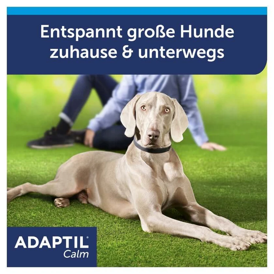 ADAPTIL Calm collar para perros grandes 1 ud.