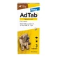 AdTab dog 1.3 - 2.5 kg chewable tablet 3 pcs.