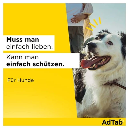 AdTab dog 1.3 - 2.5 kg chewable tablet 3 pcs.