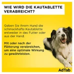 AdTab dog 1.3 - 2.5 kg chewable tablet 3 pcs.