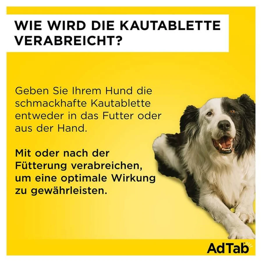 AdTab dog 1.3 - 2.5 kg chewable tablet 3 pcs.