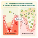 butyzol® capsules | Apriwell 60 pcs.