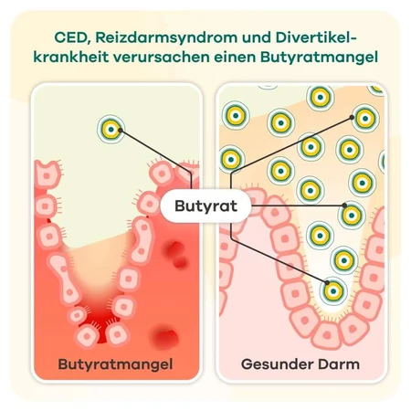 butyzol® capsules | Apriwell 60 pcs.