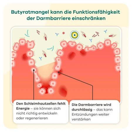 butyzol® capsules | Apriwell 60 pcs.