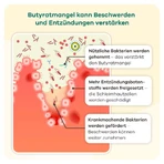butyzol® capsules | Apriwell 60 pcs.