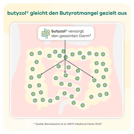 butyzol® capsules | Apriwell 60 pcs.