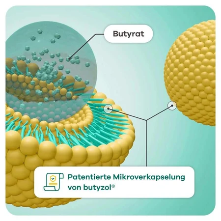 butyzol® capsules | Apriwell 60 pcs.