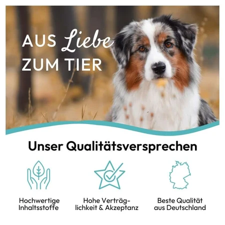 PHA Dentalstick Hond 7 stuks
