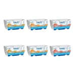 Fresubin Dessert Fruits mélangés carton en Be 24X125 g