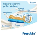 Fresubin Dessert Fruits mélangés carton en Be 24X125 g