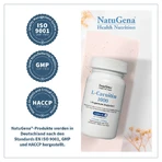 NatuGena L-Carnitin 1000 120 St