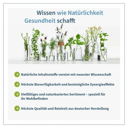 NatuGena L-Carnitin 1000 120 St