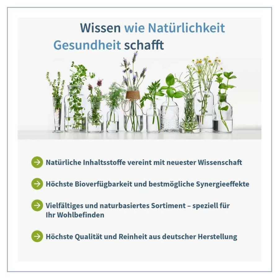 NatuGena L-Carnitin 1000 120 St