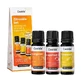 Zitrusöle Set Orangenöl&amp;zitronenöl&amp;grape 3X10 ml