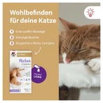Double Heart For Animals Relax Complex For Cats 25X10 g