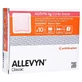 Allevyn Ag Gentle Border 10x10 cm wondverband 10 st.