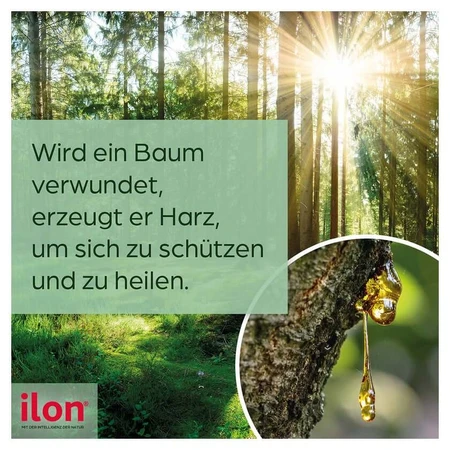 ilon WundXtra Ointment 20 g